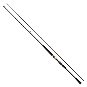 Amazon | ダイワ(DAIWA) 船竿 シーフレックス64 30-210・N